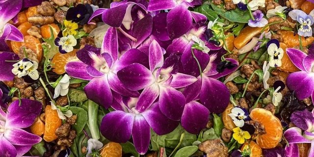 Sunburst Salad