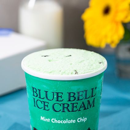 Mint Chocolate Chip Ice Cream Pint