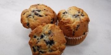 Blueberry Muffin