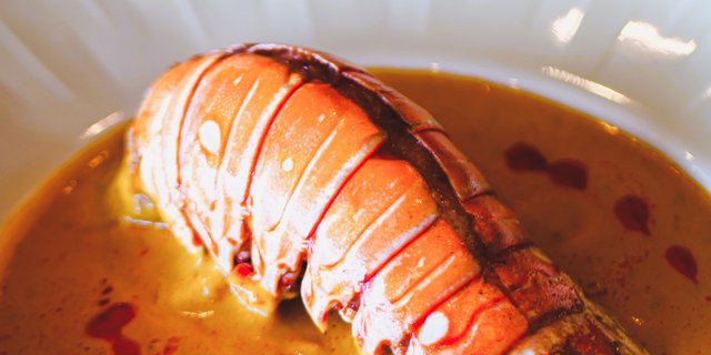 Lobster Curry