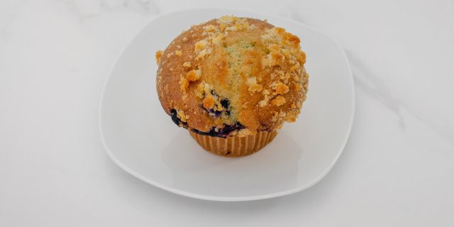 Blueberry Muffin