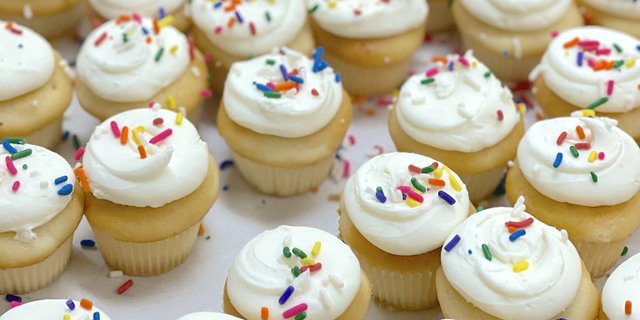 Basic Vanilla Mini Cupcake Tray