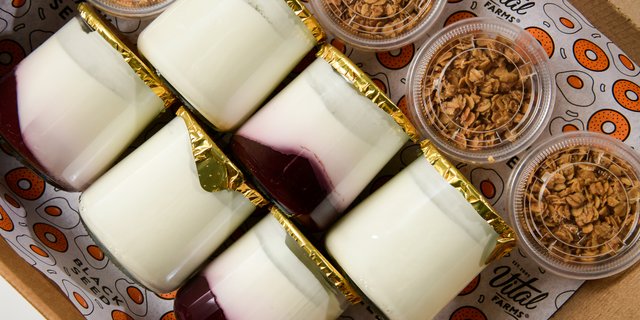 Yogurt & Granola