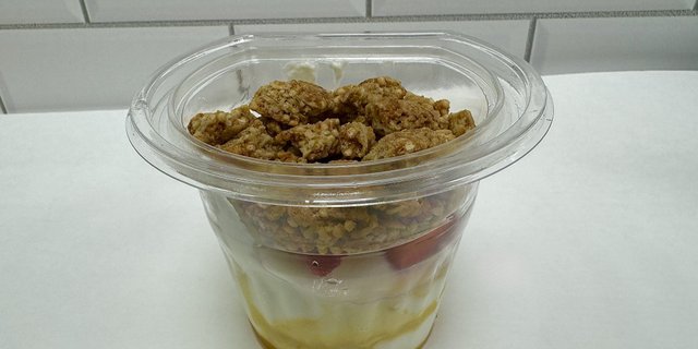 4-Pack Yogurt Granola