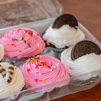 DIY 6-Pack Ice Cream Cupcake Kit