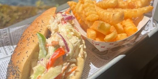 Slaw Dog