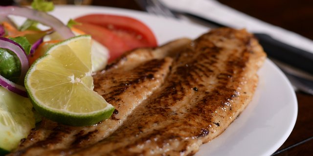 Grilled Fish Fillet