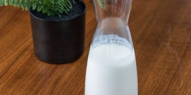 Balkan Smoothie (Serbian Yogurt/Kefir)
