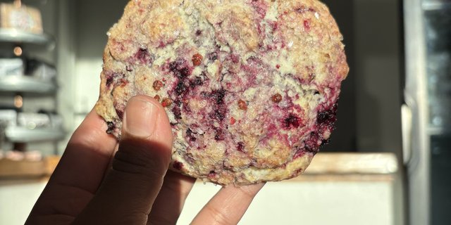 Dozen Seasonal Fruit Scone