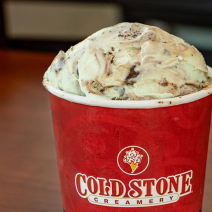 Mint Mint Chocolate Chocolate Chip
