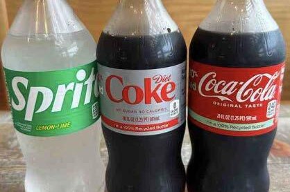 Assorted Individual Sodas