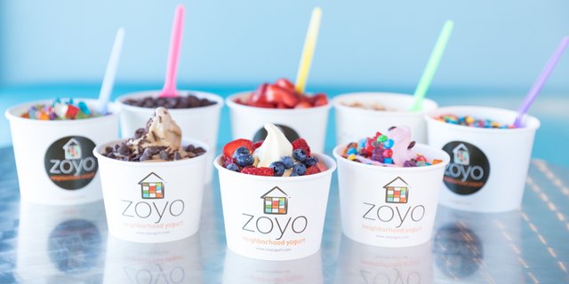 Assorted Frozen Yogurt Cups for 20-50 People