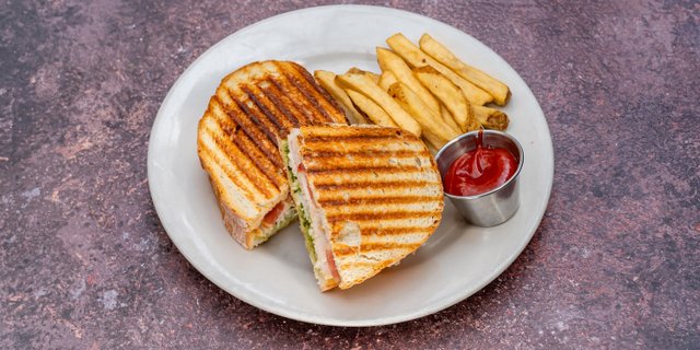 Turkey Panino