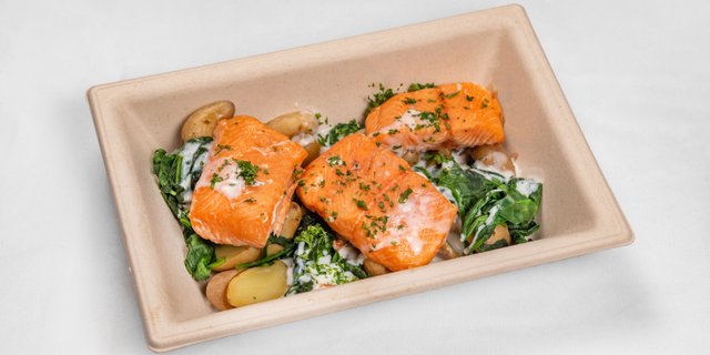 Artic Char