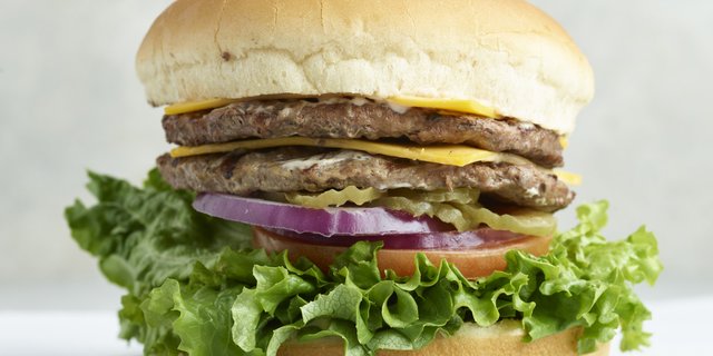 Double Cheeseburger