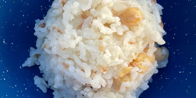 Rice Tray