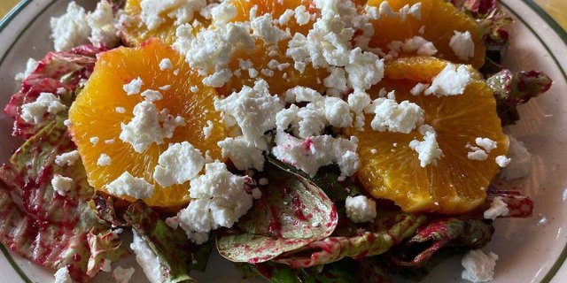 Citrus Salad