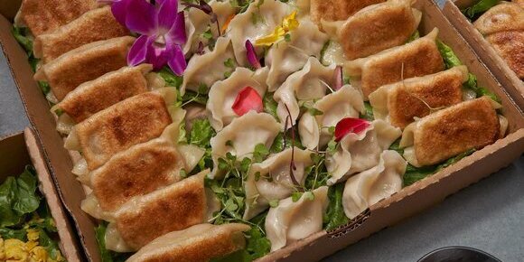 Vegetarian Dumplings & Potsticker Box