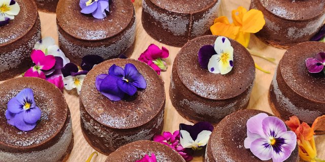 Chocolate Fondant Cake