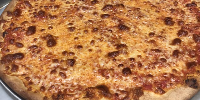 Plain Pizza