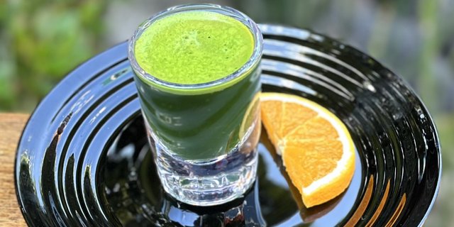 Pack of 10 Wheatgrass Shots