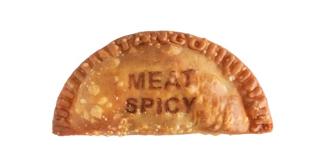 Spicy Meat Empanada