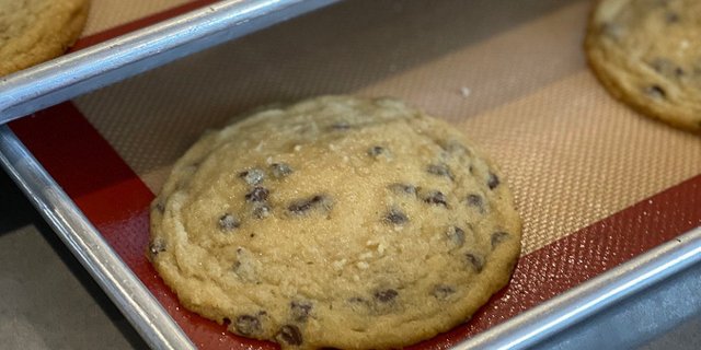 Chocolate Chip Cookie