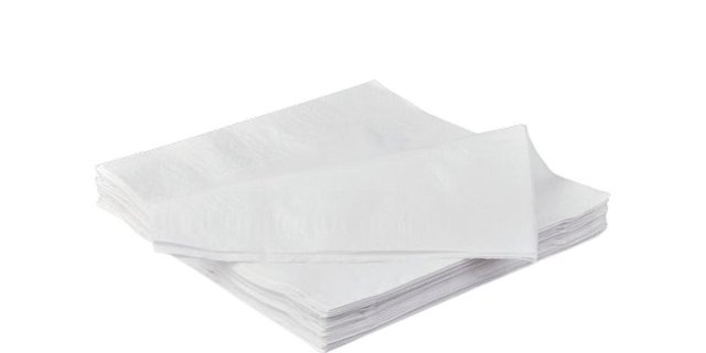 Disposable Napkins (10)