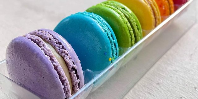 Small French Macaron Box
