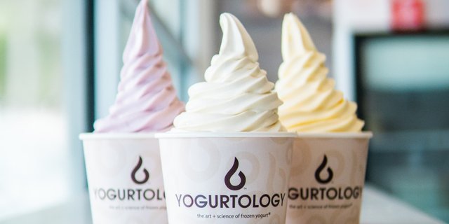 Assorted Frozen Yogurt Cups