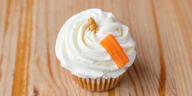 Crazy Carrot Cupcake