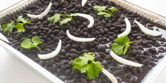 Bean Tray