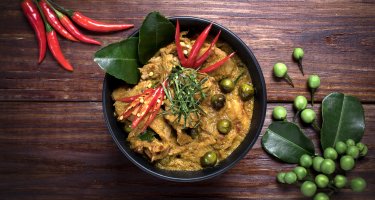 Thai Orchid Restaurant