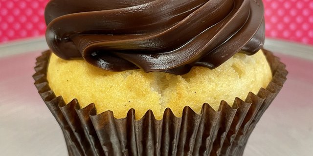 Decadent Fudge Cupcake
