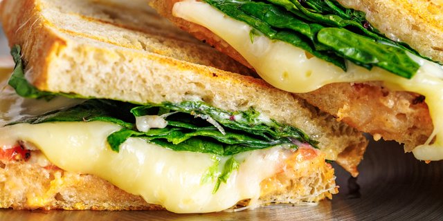 Turkey Sandwich