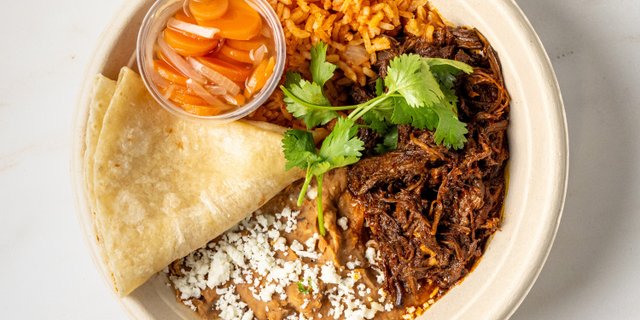 Individual Birria Bowl