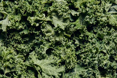 Organic Shredded Kale