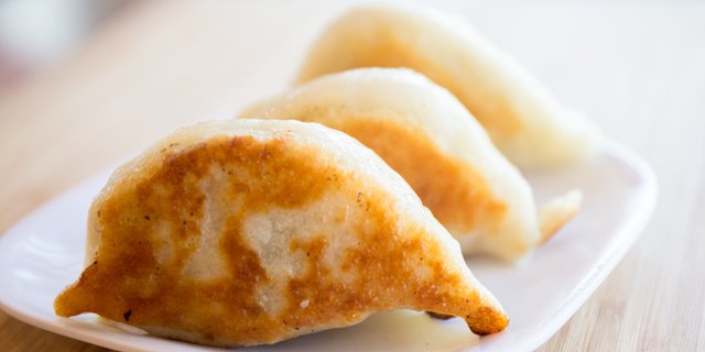Pan-Fried Chicken Potsticker
