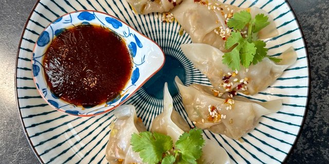 Veggie Dumplings