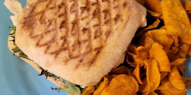 Grilled Chicken Panini