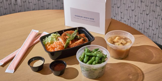Donburi Rice Bowl Bento Box