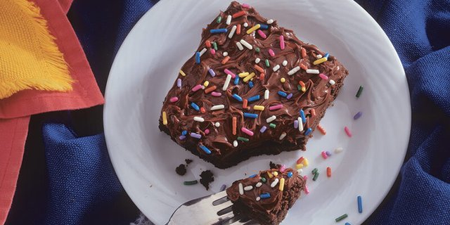 Giant Frosted Brownie