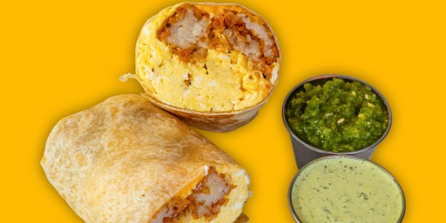 Plain Burrito