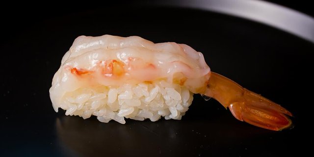Spot Shrimp