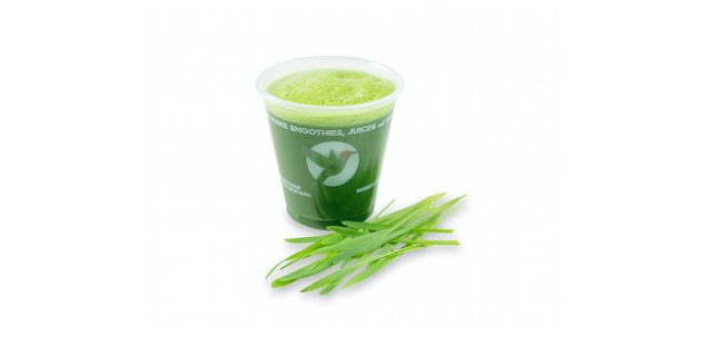 Wheatgrass Shot