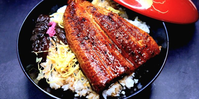 Unagi Don