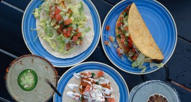 Green Coyote Cantina
