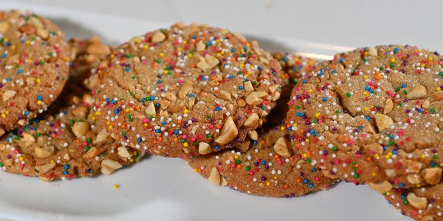 Peanut Butter Cookie