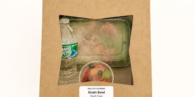 Vegan Boxed Lunch
