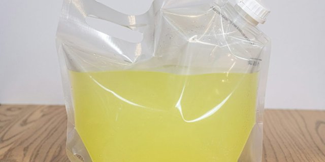 GALLON LEMONADE